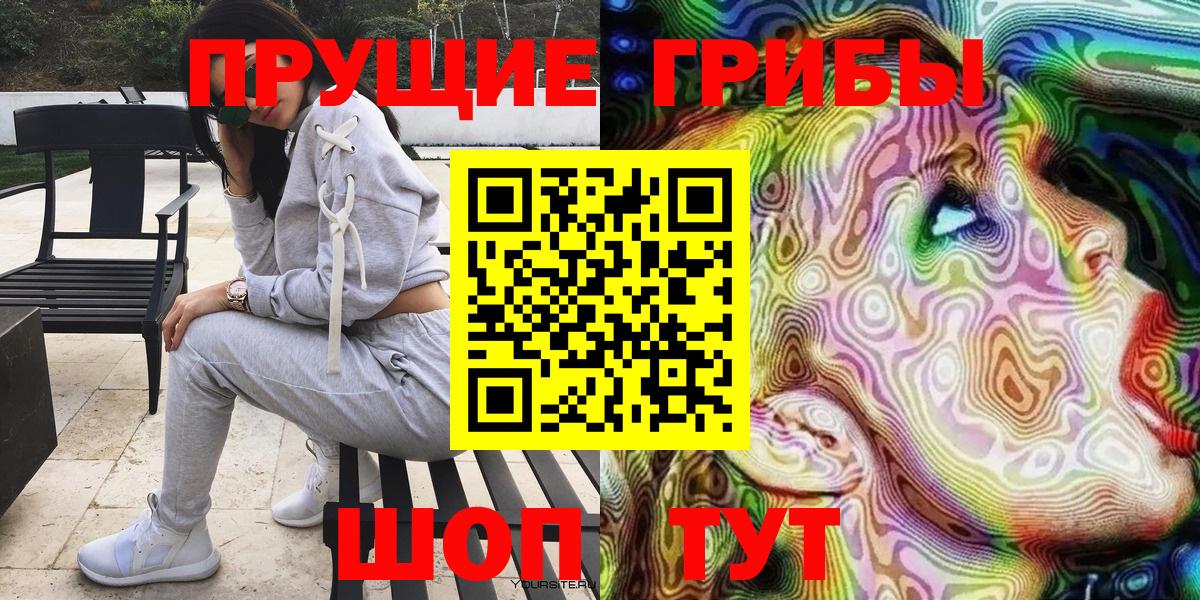 Сунжа  Галлюциногенные грибы Cubensis  Псилоцибиновые грибы MAGIC MUSHROOMS  Вход с VPN 