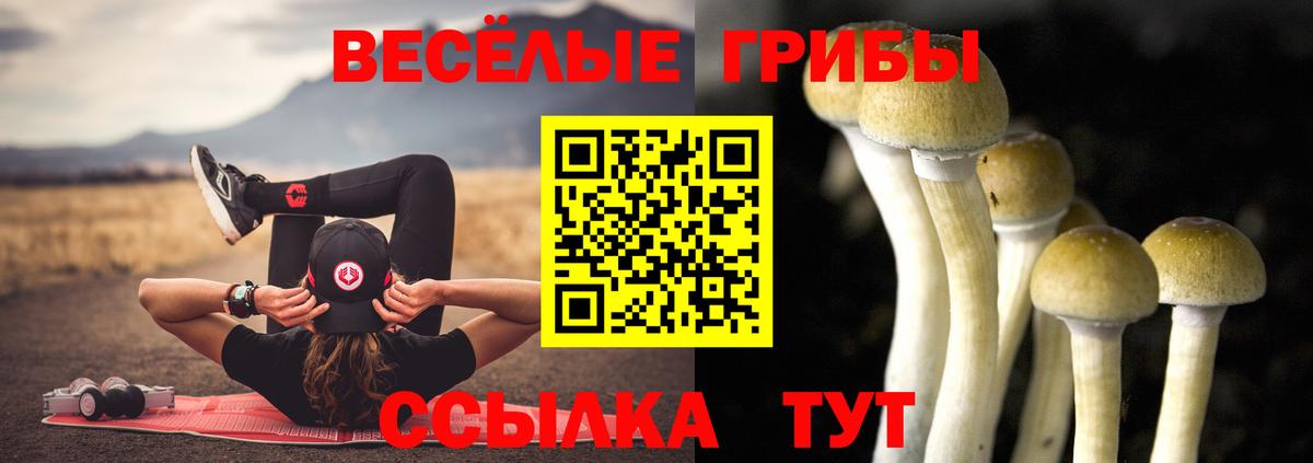 Галлюциногенные грибы Magic Shrooms Сунжа